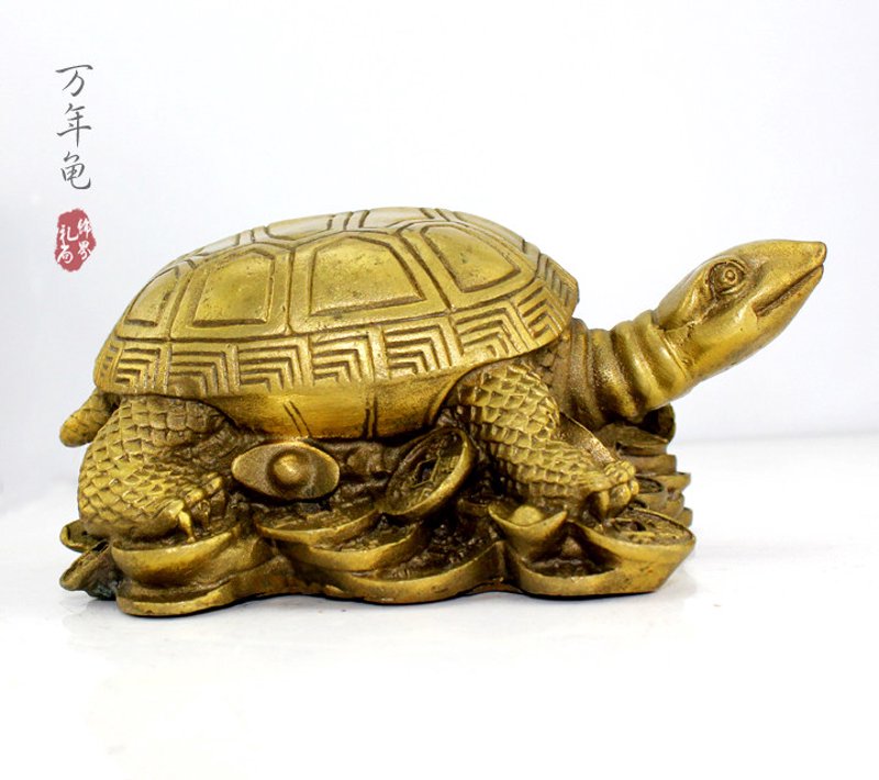 招财龟价格:如何在市场中找到性价比最高的那一款