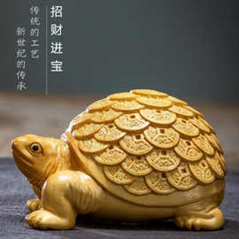 招财龟品种，到底哪些更受欢迎？